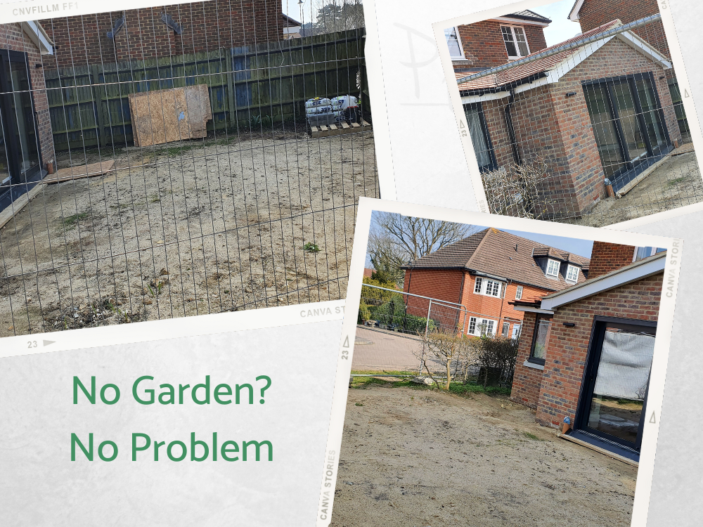 SB small modern family garden SB small modern family garden