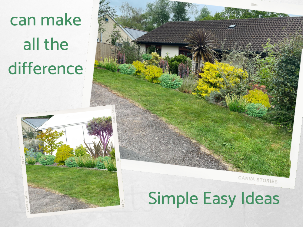 SC Front garden additional planting SC Front garden additional planting