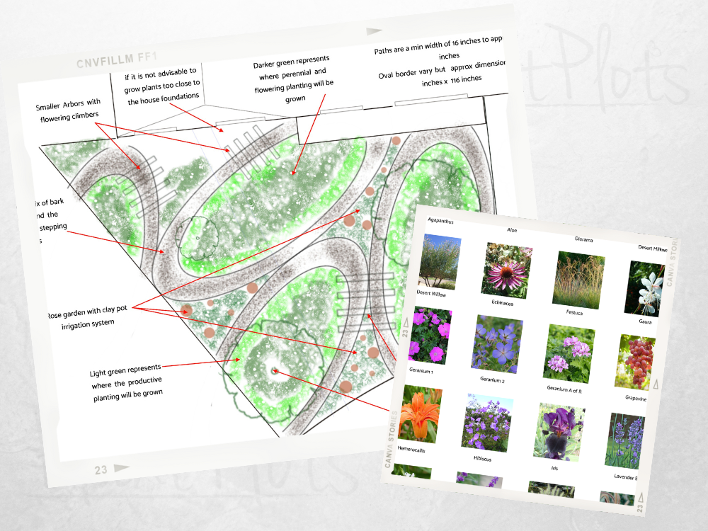 SH front yard desert garden SH front yard desert garden