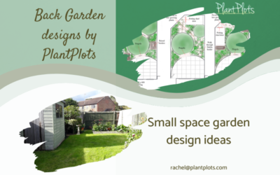 VE remodel small garden