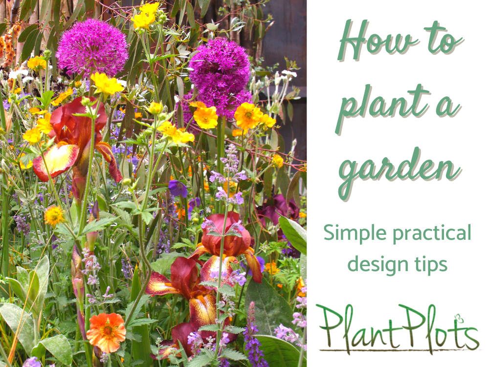 Planting a garden border