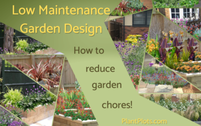Low maintenance garden design