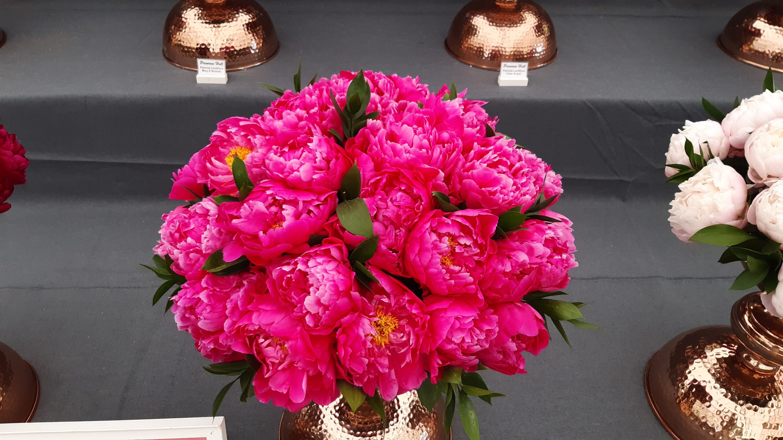Peonies are easier to look after than roses Peonies are easier to look after than roses