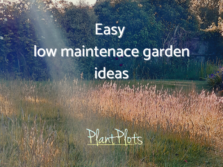 or you can 'go with the flow' and have a no-mow lawn maybe? easy low maintenance garden ideas