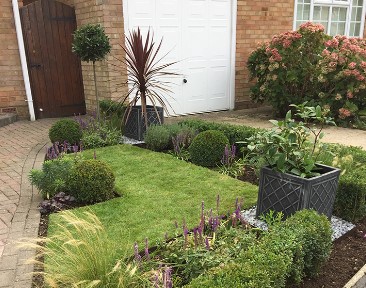 low maintenance lawn - or not? front lawn