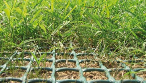 Grass Grids - great for areas of heavy traffic lawn mesh