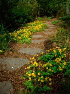 think leaf drop and this is difficult to rake path