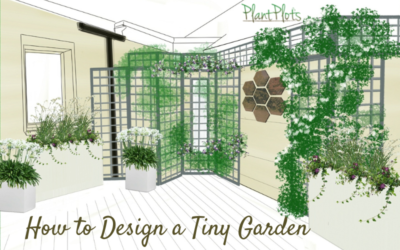 How to design a tiny garden
