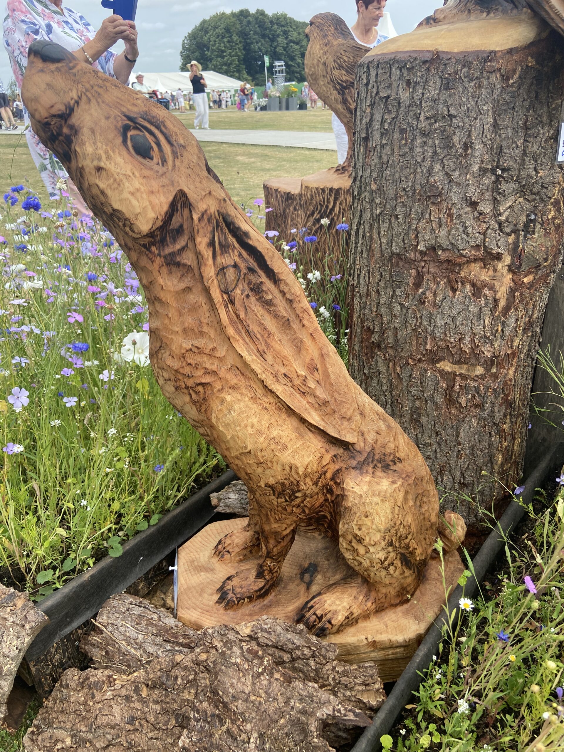 Wooden animal sculpture Andy Burgess TP