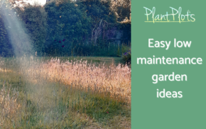 easy low maintenance garden ideas