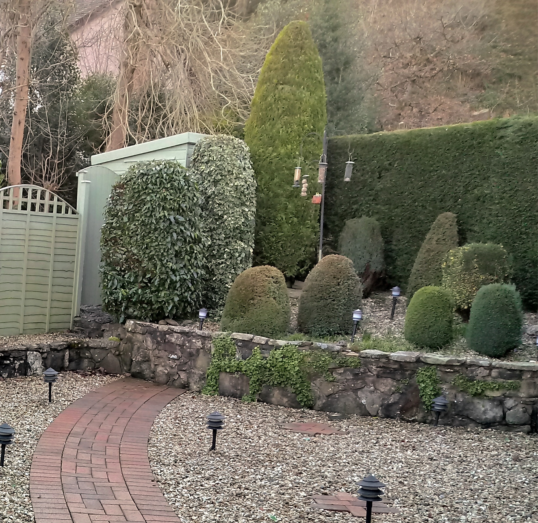 boring garden with dome shaped shrubs