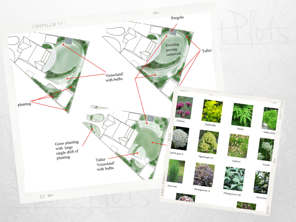 FL rear garden sweeping grass lawn FL rear garden sweeping grass lawn