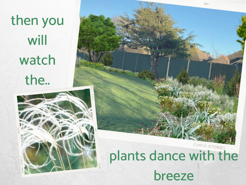 FL rear garden sweeping grass lawn FL rear garden sweeping grass lawn