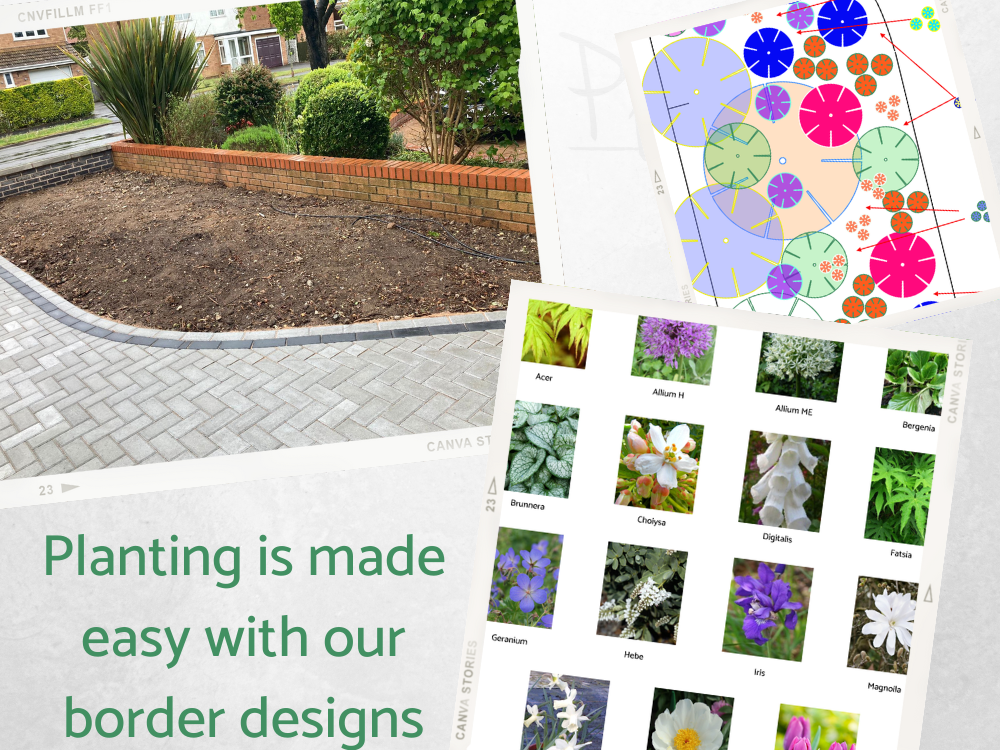 JC front border white theme JC front border white theme