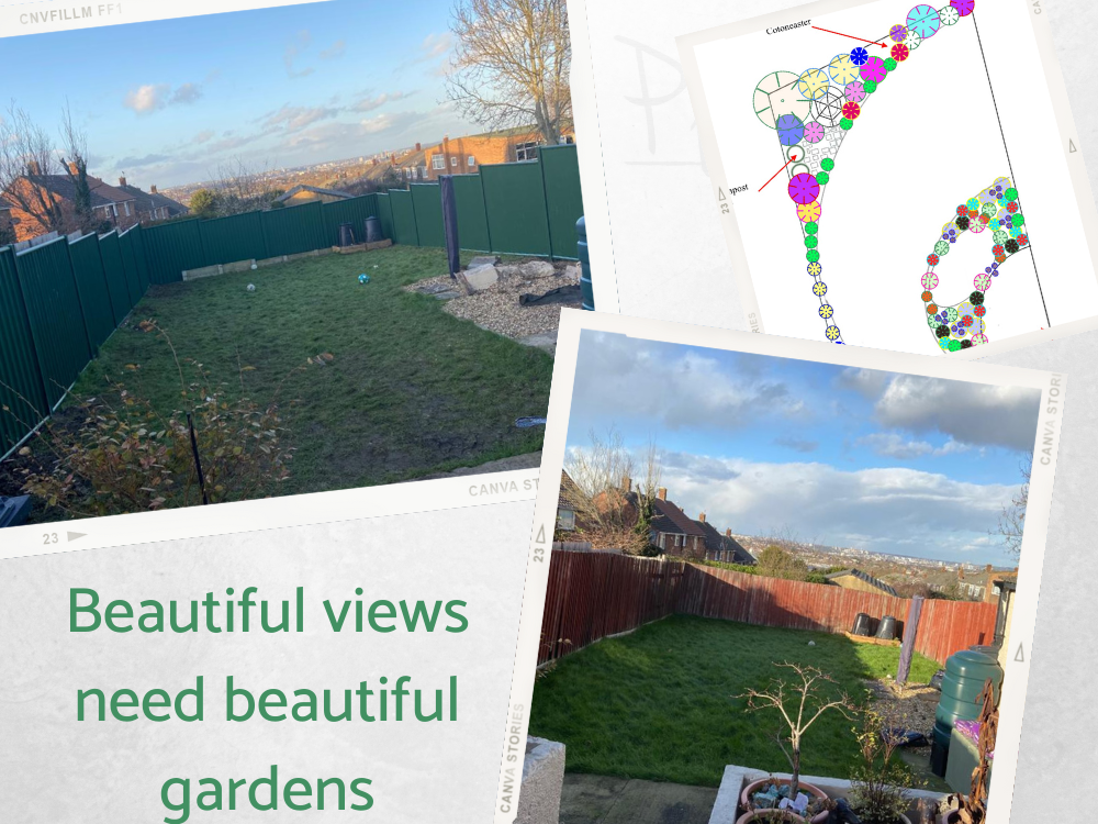 JE sweeping lawn with big sky view JE sweeping lawn with big sky view