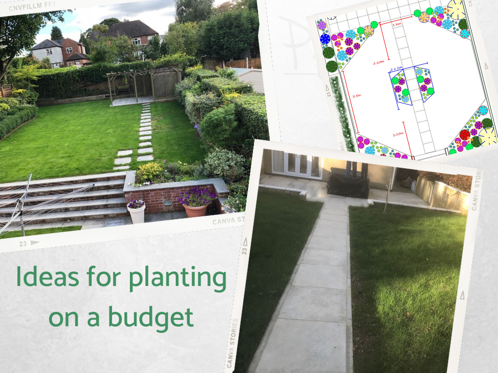 LC formal octagon shaped lawn LC formal octagon shaped lawn