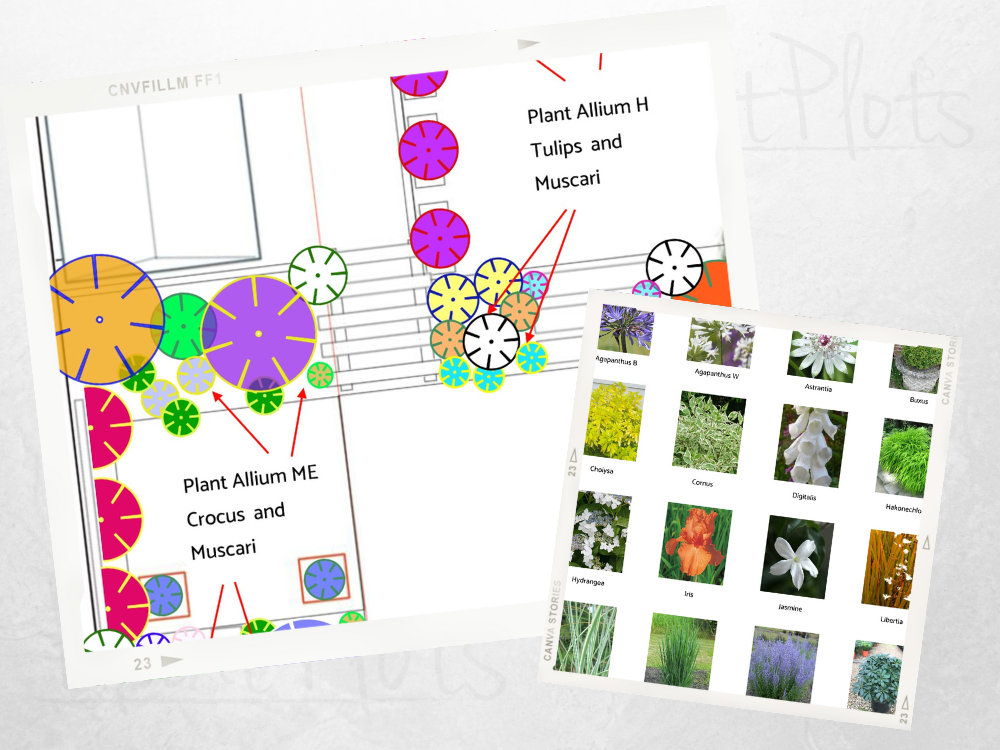 LM north facing garden small modern garden design LM north facing garden small modern garden design