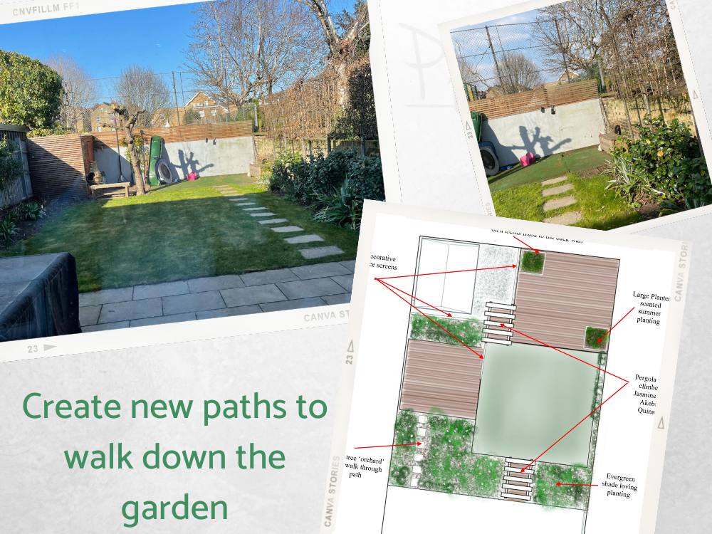 LM north facing garden small modern garden design LM north facing garden small modern garden design