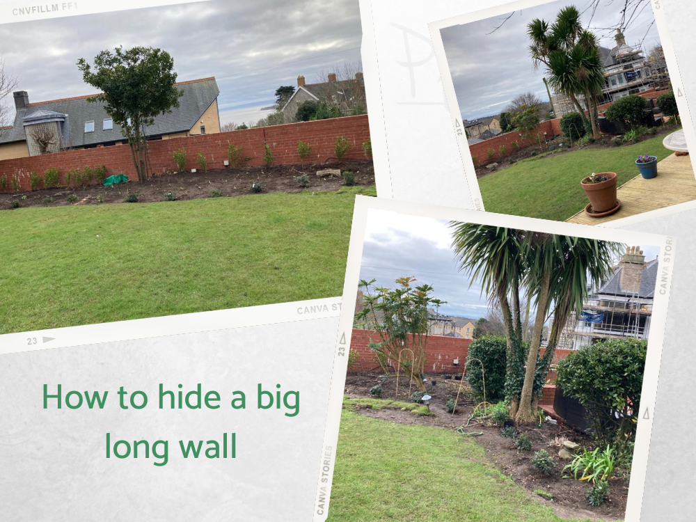 LP Long walled border design LP Long walled border design