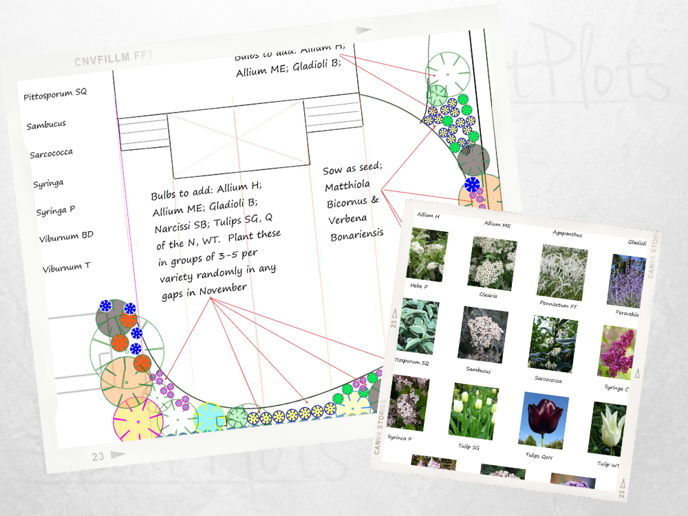 LP Long walled border design LP Long walled border design