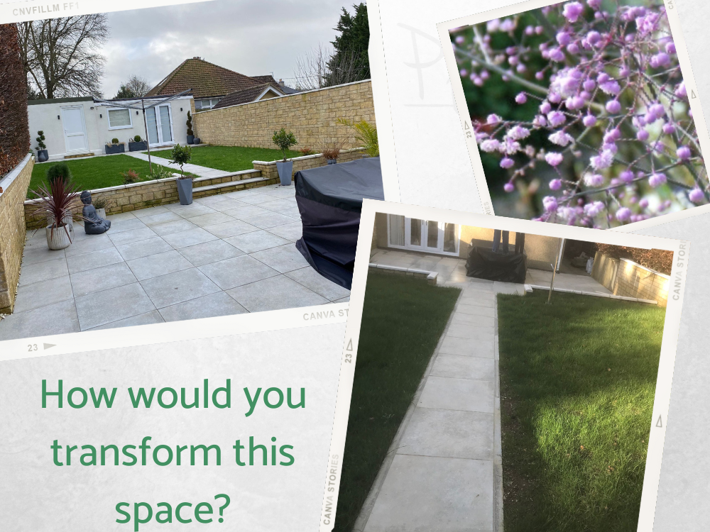 easy budget small garden design easy budget small garden design