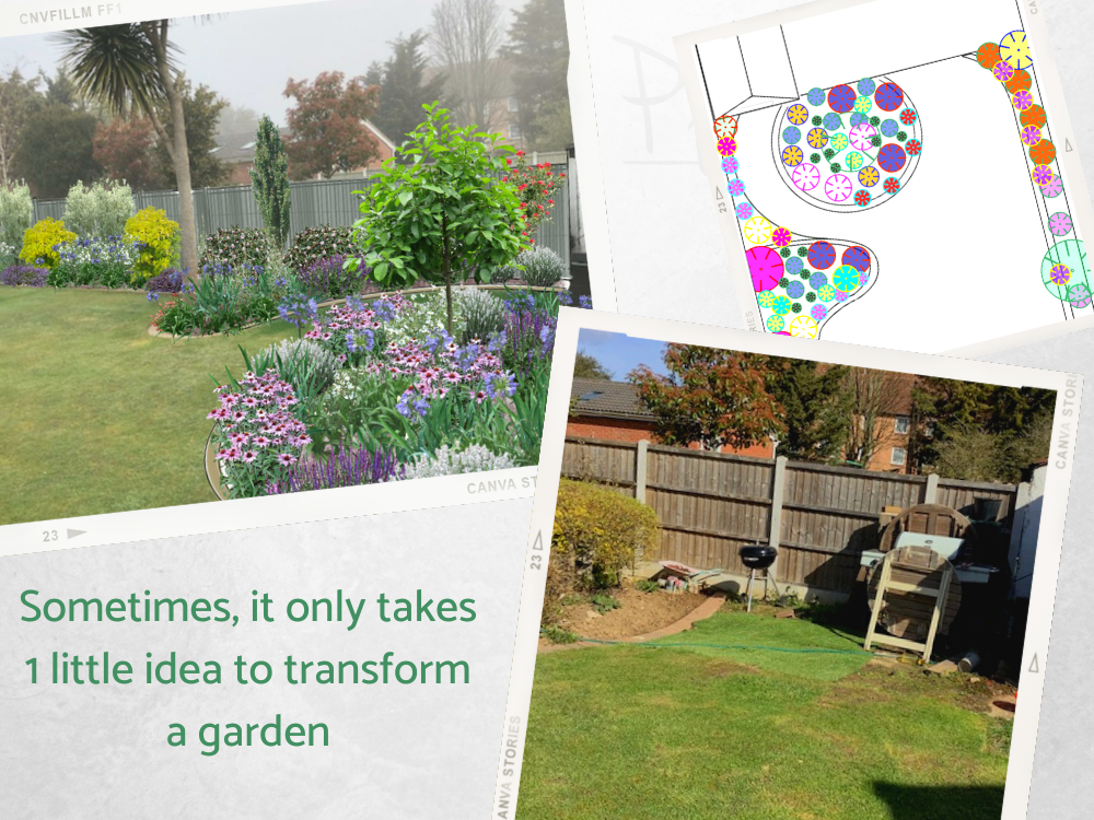 Adding one border to a garden what a diffference Adding one border to a garden what a diffference