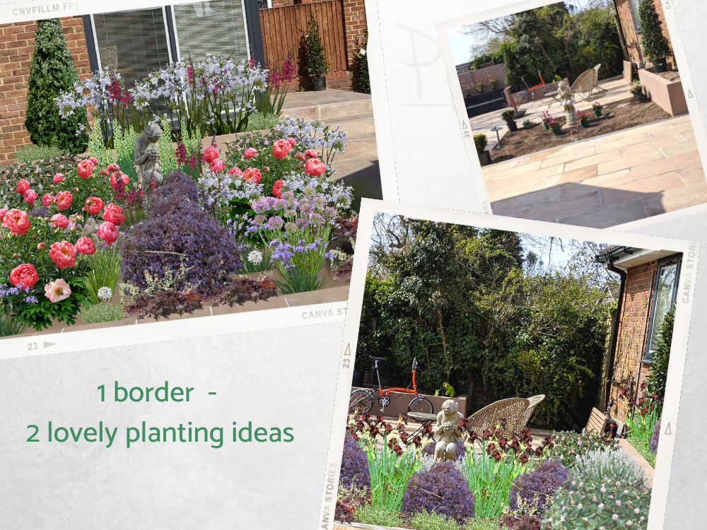 Flower border plnting ideas Flower border plnting ideas