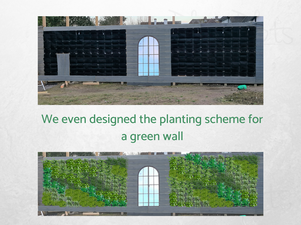 Green wall planting ideas Green wall planting ideas