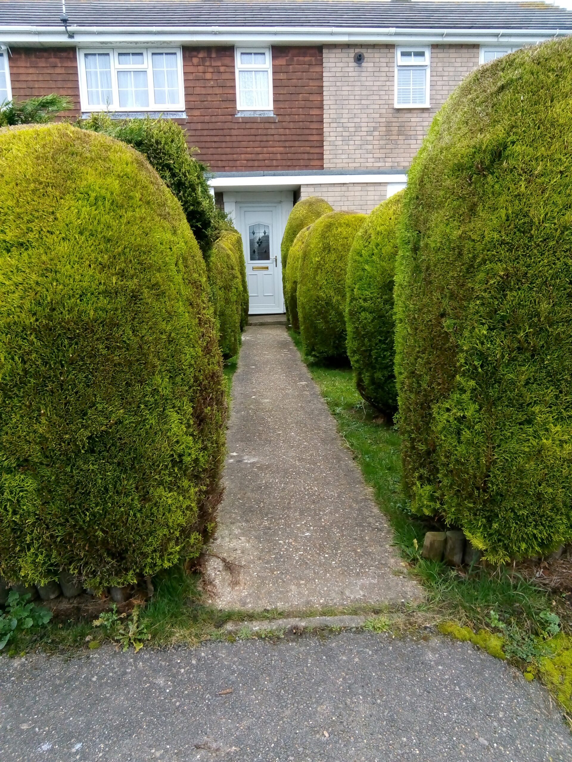 front pth enclosed by lleylandii hedges