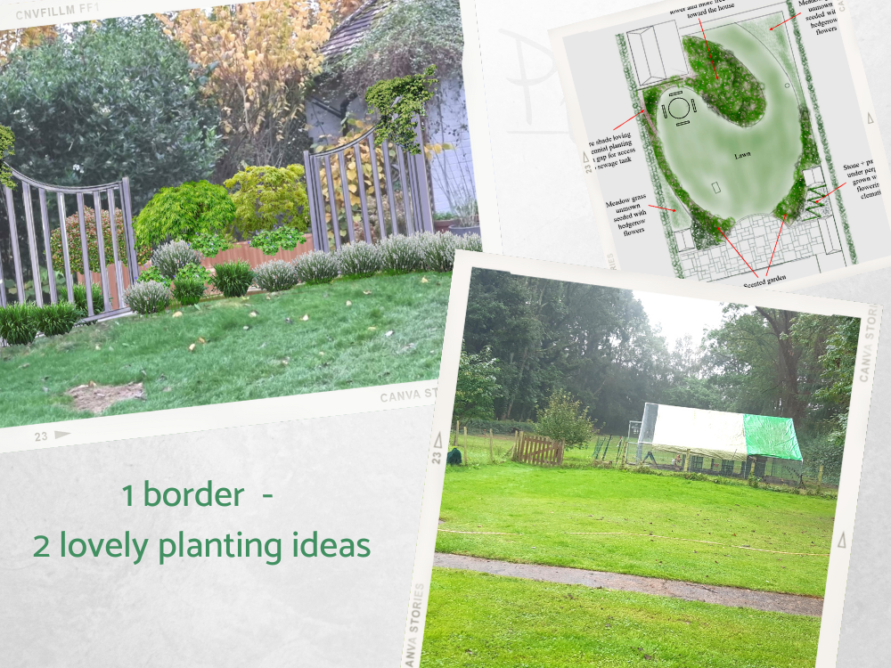 Large natural looking planting layout for country garden Large natural looking planting layout for country garden