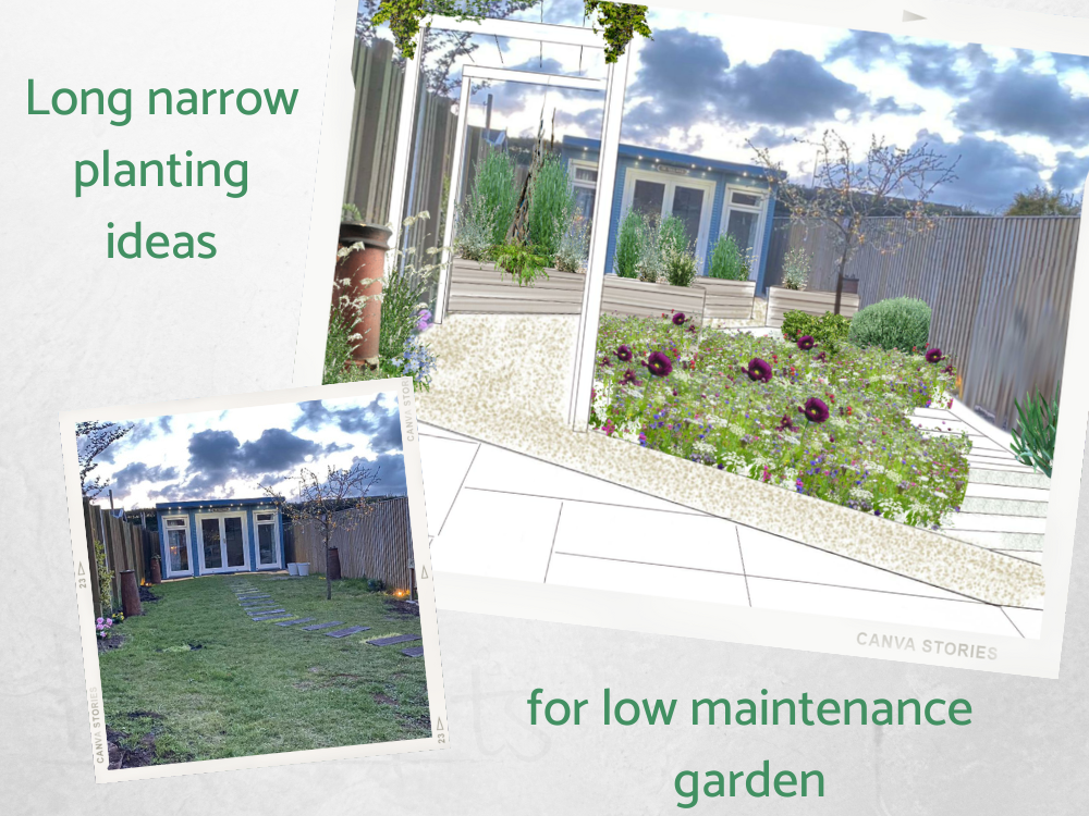 Long narrow garden planting design Long narrow garden planting design