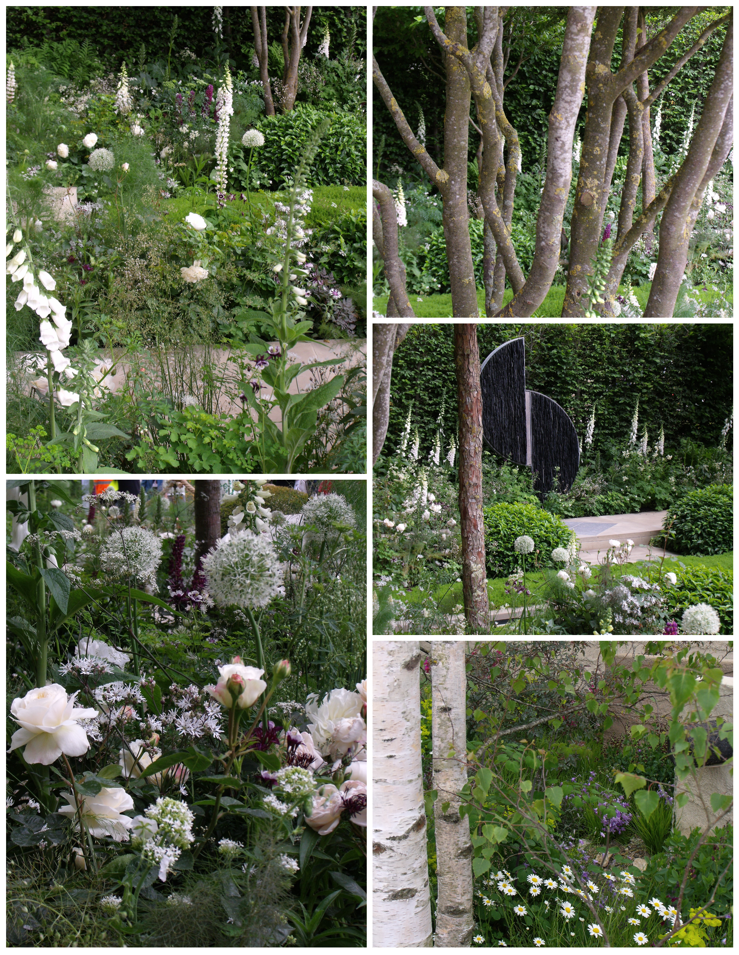 Perennial garden RHS Chelsea