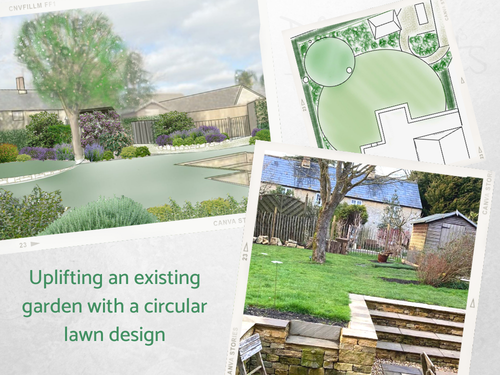 Revamping an established garden Revamping an established garden