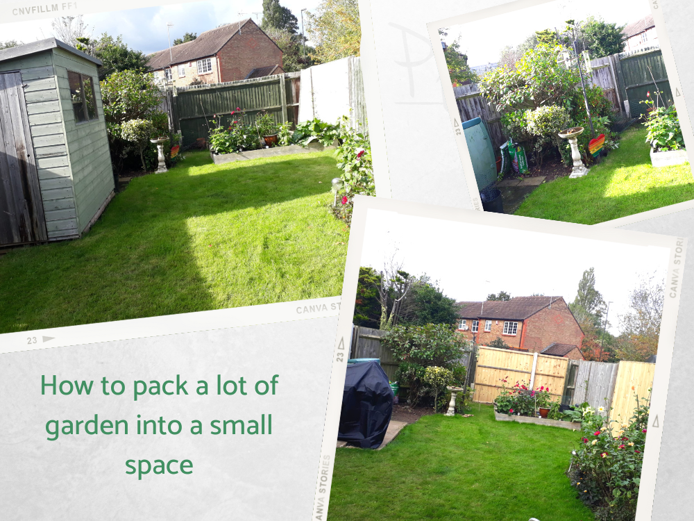 Small garden lovers paradise Small garden lovers paradise