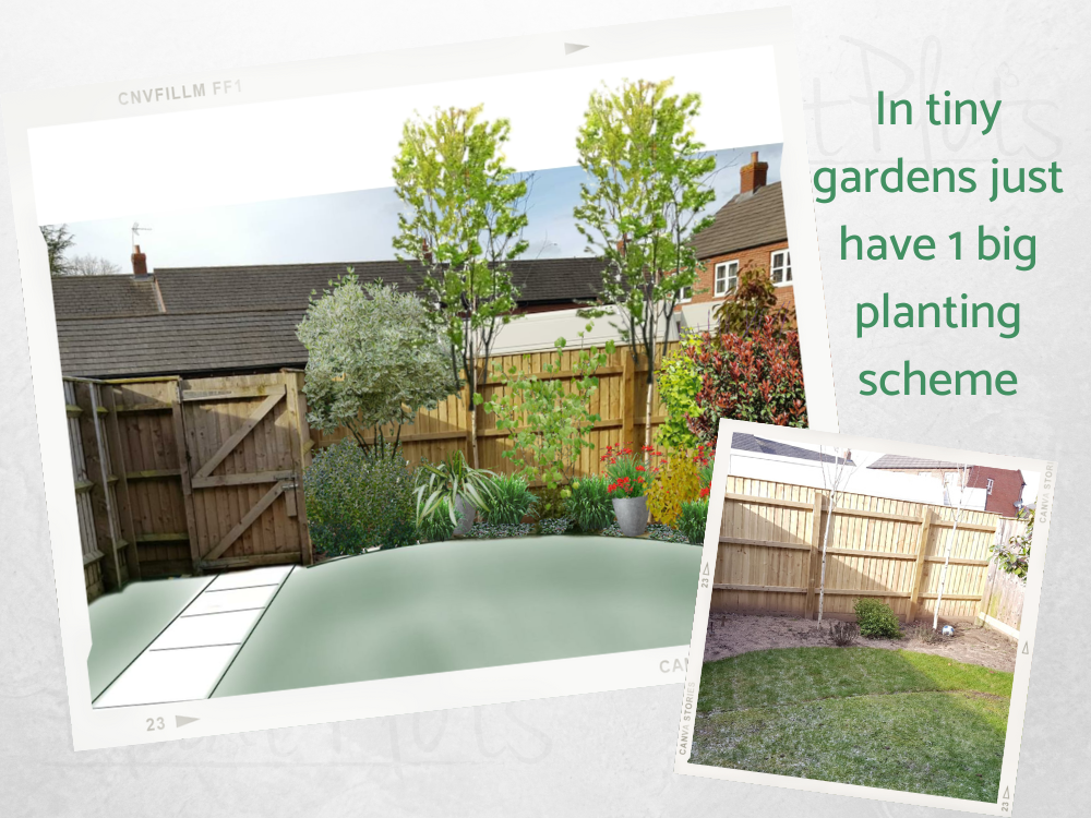 Tiny garden border planting design Tiny garden border planting design