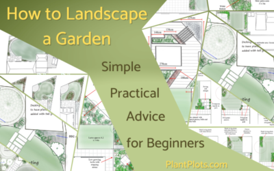 landscape design advice