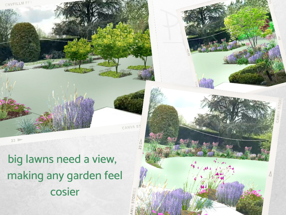 large garden lawn area replanting large garden lawn area replanting