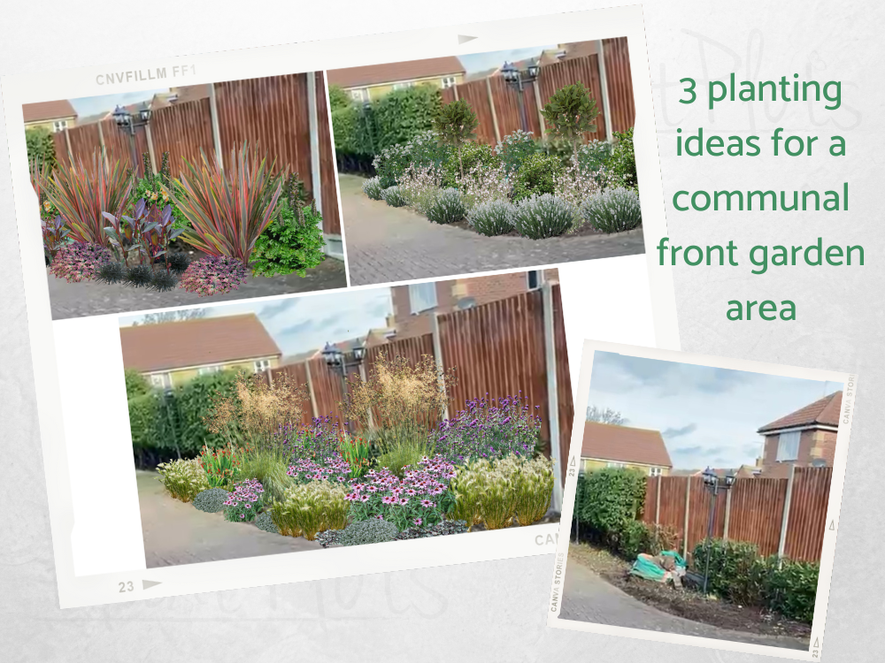 planting for a communal front garden planting for a communal front garden