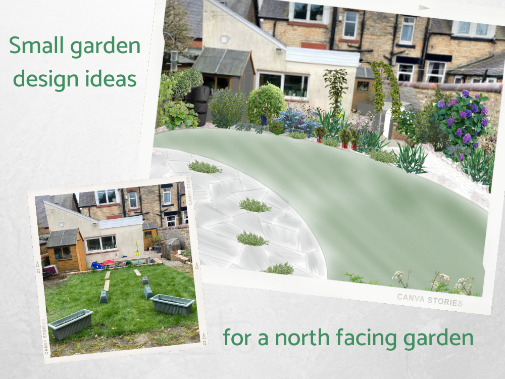 small terrace house design for extra interest small terrace house design for extra interest