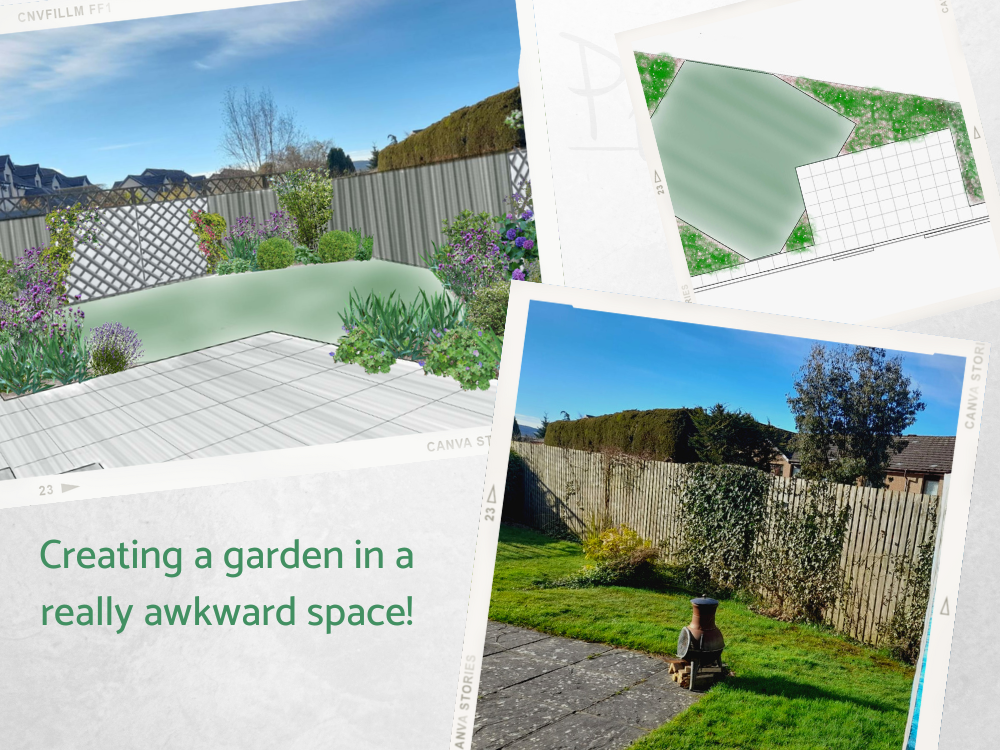 triangular shaped garden design idea triangular shaped garden design idea