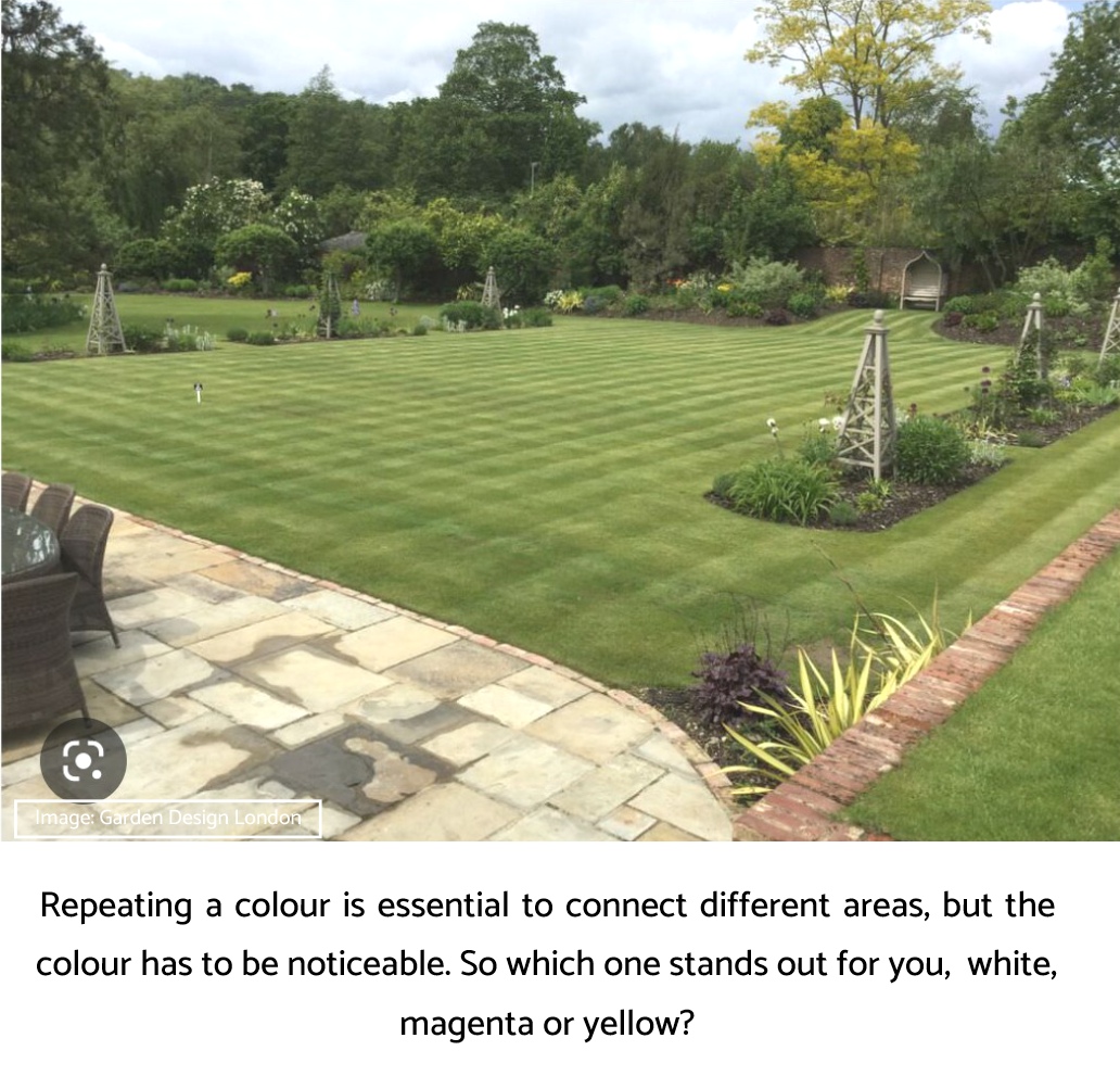 Large garden tips repeat a noticeable colour