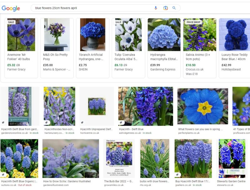 How to choose a garden colour scheme