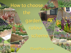 How to choose a garden colour scheme