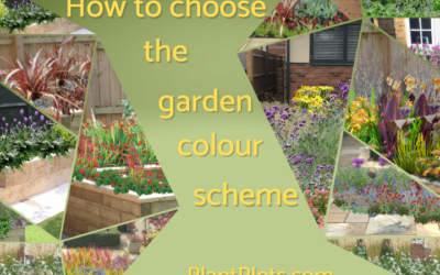 how to choose a garden colour scheme