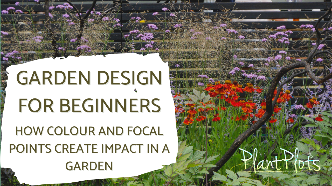 how colour and focal points create impact in a garden Thumbnail video link to watch how colour and focal points create impact in a garden