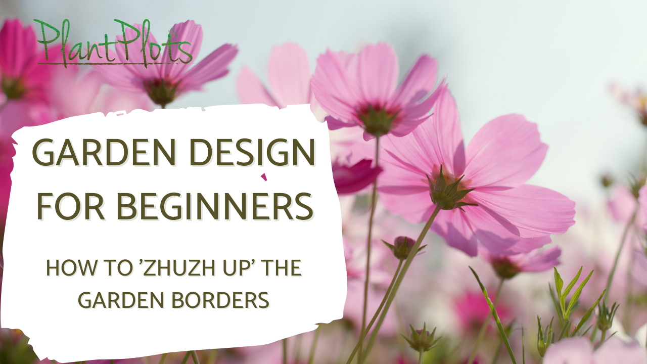 how to zhuzh up the garden borders Thumbnail video link to watch how to zhuzh up the garden borders