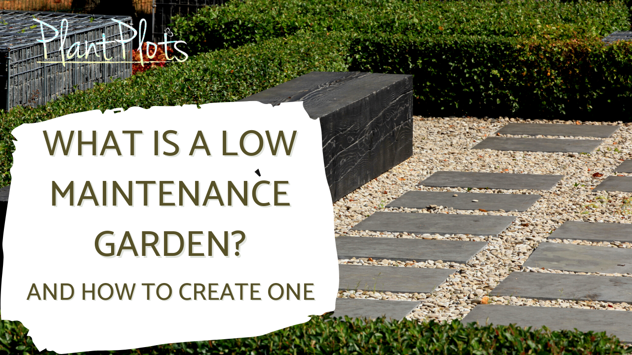 low maintenance thumbnail low maintenance thumbnail link to yourtube video - what is a low maintenance garden and how to make one