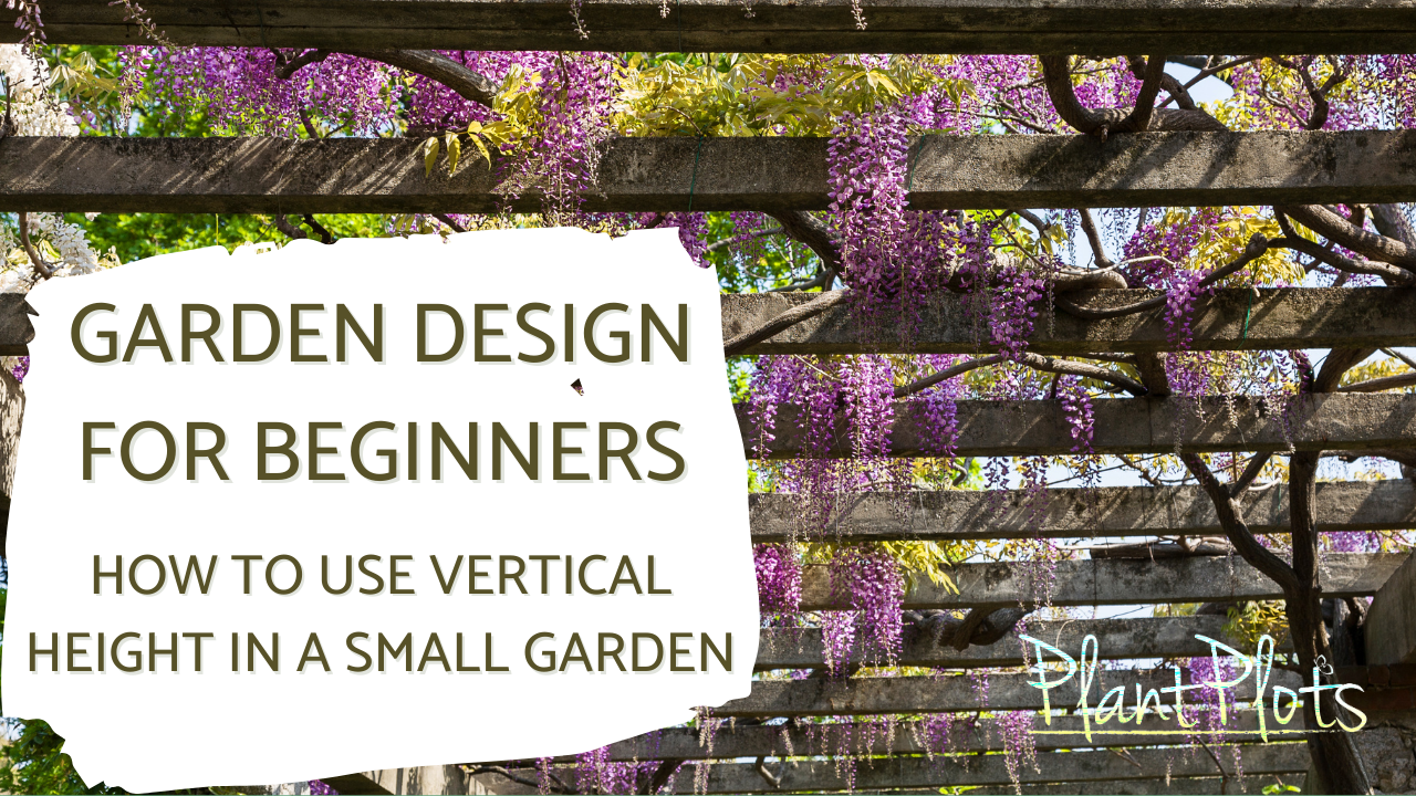 vertical height in a small garden Thumbnail video link to watch vertical height in a small garden