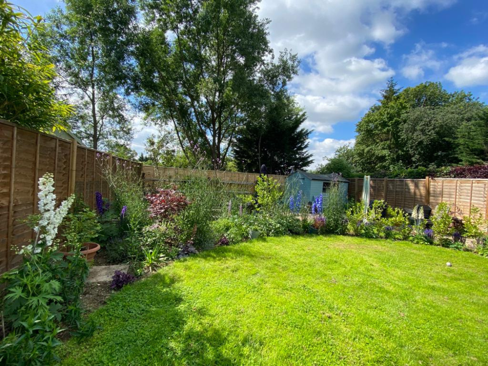 Natural flower garden