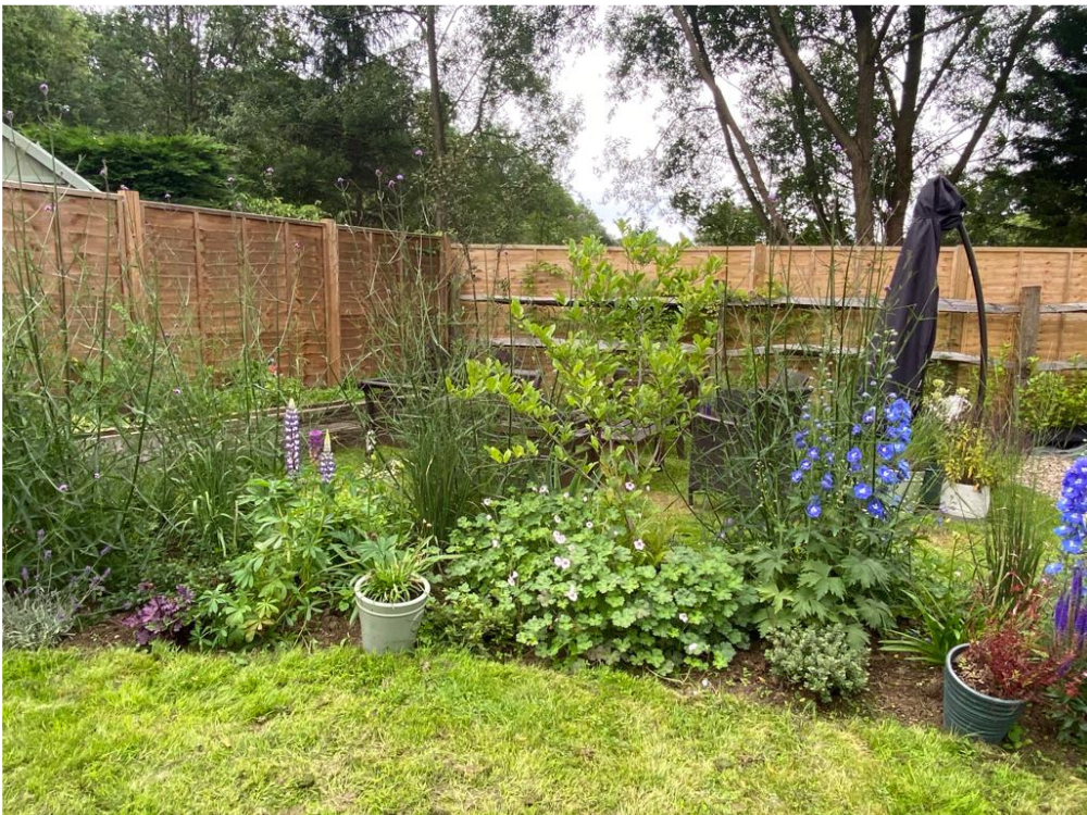 Natural flower garden